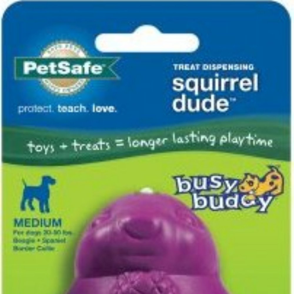 PETSAFE PETSAFE BUSY BUDDY DOG TOY SQUIRREL DUDE PURPLE MEDIUM